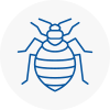 Bed Bug Extermination In Milton
