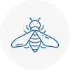 Bee Nest Removal Milton