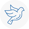 Bird Prevention Milton