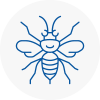 Milton Hornet Nest Removals