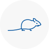 Mice Exterminators In Milton