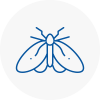 Moth Control Specialists In Milton