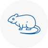 Rat Control Milton