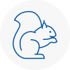 Milton Rodent Removals