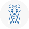 Milton Wasp Nest Removal